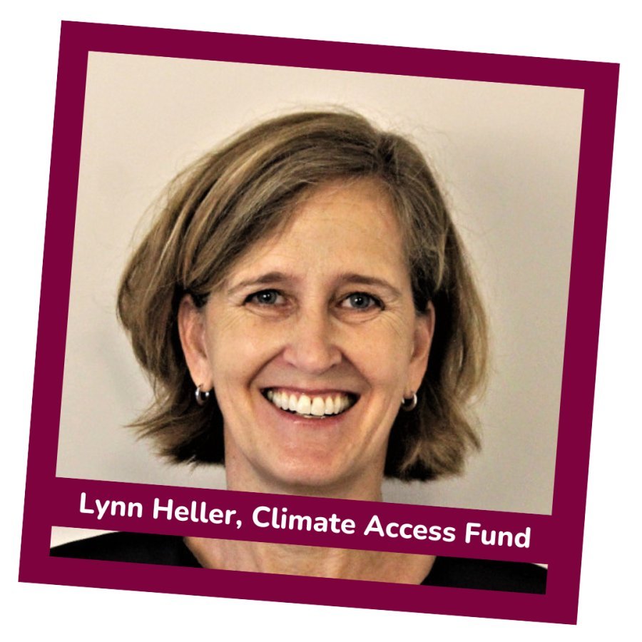 Lynn Heller